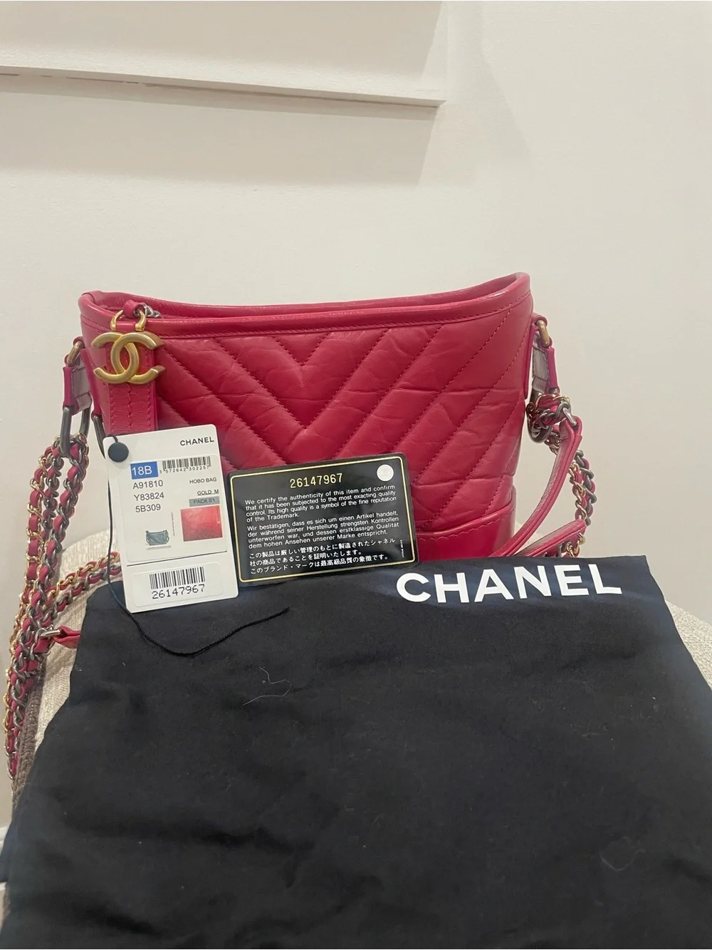 CHANEL Quilted Lambskin Hobo with Gold CC Charm